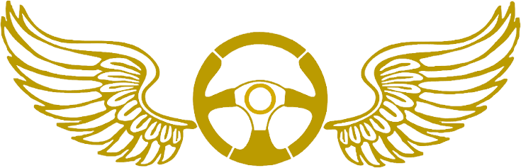 Fahrschule Low Fly Logo